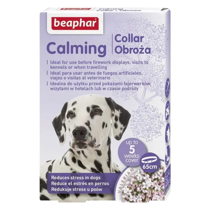 Beaphar Gb Digestive Support – 10Ml Probiotic & Prebiotic Blend For Cats 1