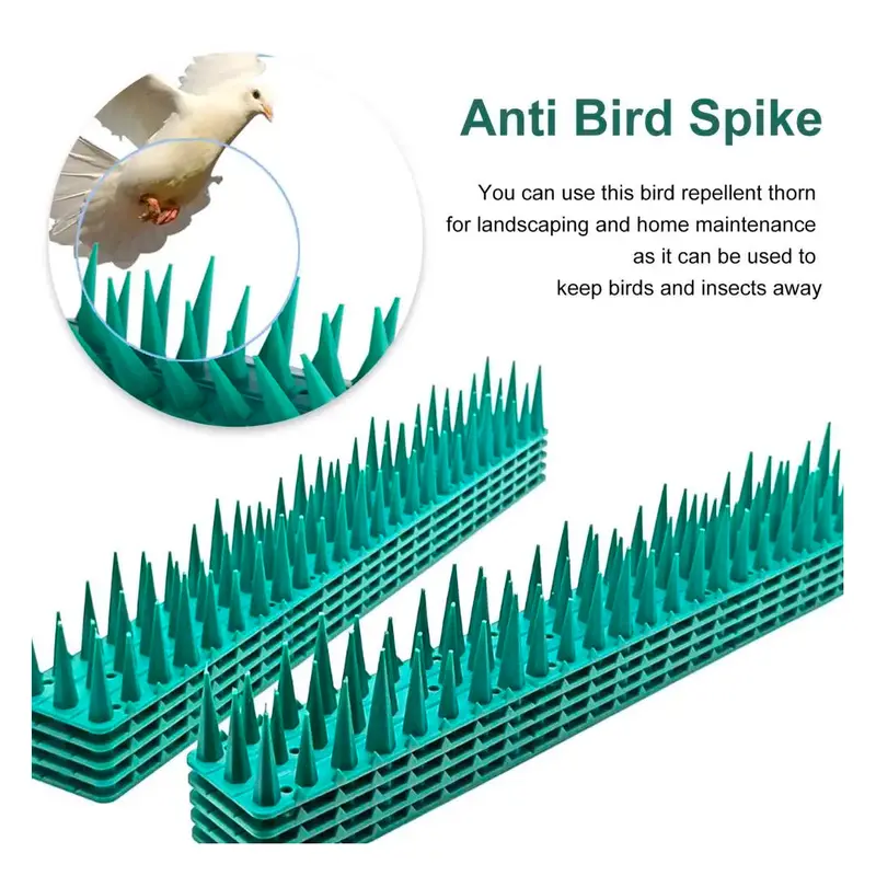 Durable 12-Section Plastic Planting Tray For Seedlings And Saplings 1