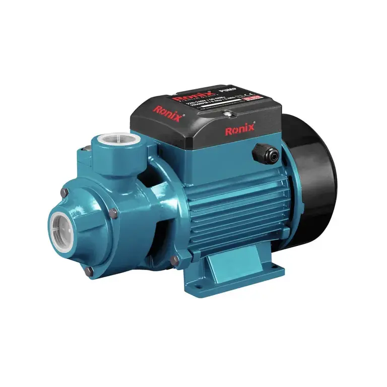 Ronix 1/2-Horsepower Submersible Water Pump 1