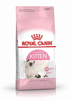 Royal Canin Adult Dry Cat Food For Kittens 4–12 Months – Digestive & Immune Support (4 Kg) 1