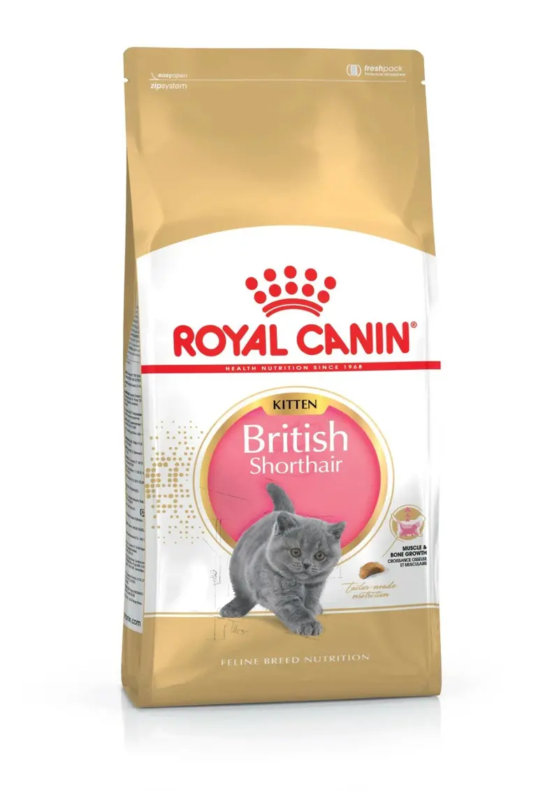 Royal Canin British Shorthair Kitten Dry Food – 400 G Pack For Optimal Growth & Joint Support 1