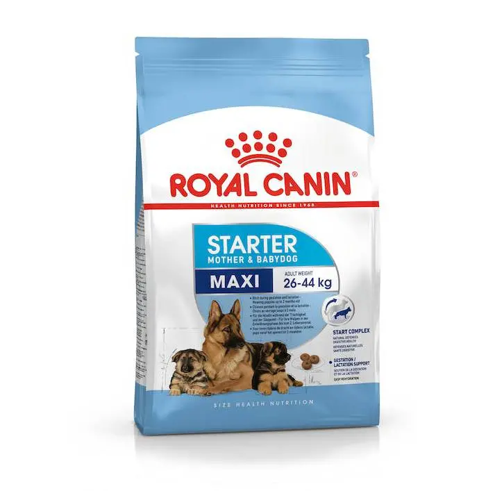 Royal Canin Giant Adult Dry Dog Food – Appetite Stimulation & Digestive Ease (4 Kg) 1