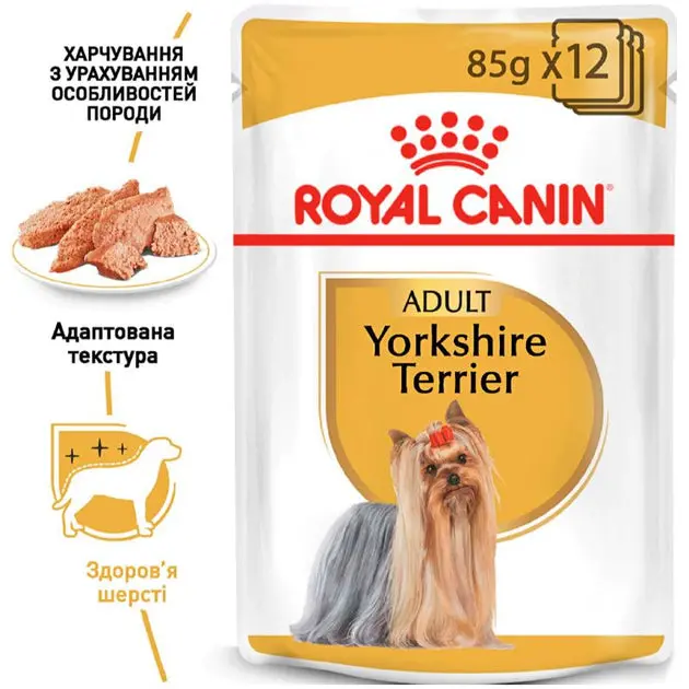 Royal Canin Yorkshire Terrier Wet Dog Food – 12 × 85 G Pouches For Skin & Coat Health 1